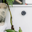 ライフスタイル用 | 壁かけ用粘着マウント 2個入り - Quad Lock Japan クアッドロックジャパン